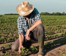 Qualificação da mão de obra vira desafio central para o agro