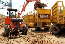 Alagoas beneficiou 15,9 mi de toneladas de cana até fevereiro