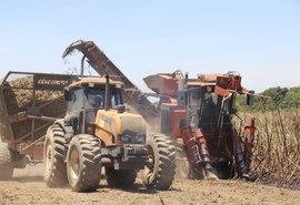 Mecanização avança nos canaviais do setor sucroenergético de AL