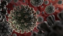 Alagoas registra 23 novos casos e mais duas mortes por Covid-19 nesta quarta(01)