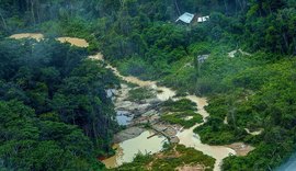 PF ouve primeiros depoimentos sobre ataque na Terra Yanomami