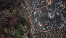 Desmatamento na Amazônia cresce 9,5% em 1 ano e passa de 11 mil km²