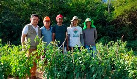 Instituto Irmã Dorothy abre seleção para técnicos em projeto; confira