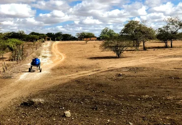 Seca atinge 75 municípios de Alagoas e provoca impactos na agricultura familiar