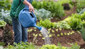 Agricultores familiares contarão com verba na pandemia