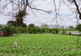 Novo pagamento do Garantia-Safra beneficia mais de 1.500 agricultores familiares de Alagoas