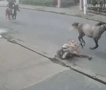 Cavalo escorrega e arremessa casal contra calçada em Arapiraca