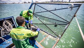 Ecoboats que prometem auxiliar na limpeza do mar de Maceió são testados pela Prefeitura