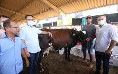 Governador Renan Filho visitou a Exposição.