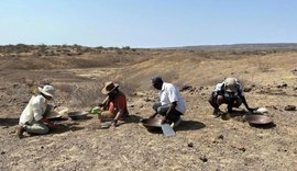 Estudo revela que hominídeos já usavam técnicas de açougue há 1,6 mi de anos