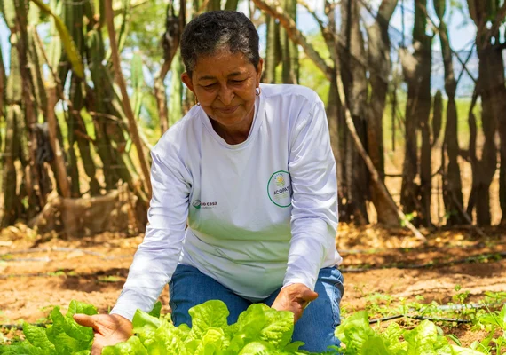 ASA apresenta novos programas de saneamento rural e produção de energia durante o X EnconASA