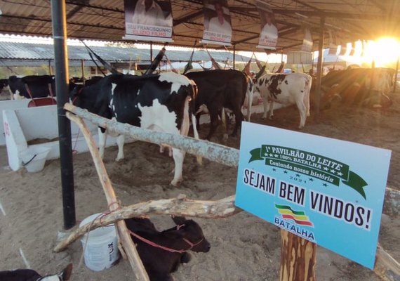 Expo Bacia Leiteira é confirmada para setembro