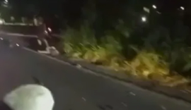 Motociclista morre após colisão na AL-101 Norte em Paripueira