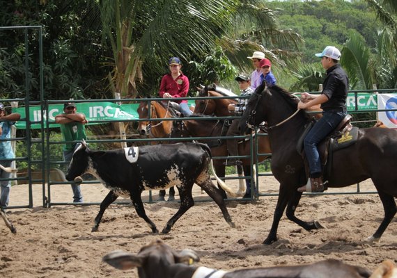 Campeonato Ranch Sorting vai abrir programação da Expoalagoas Genética 2024