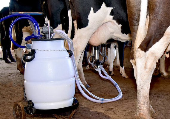 Preço do leite deve ter drástica queda no semestre