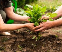 Cooperativa de Colonização Agropecuária de Penedo realiza 1º Circuito Agro Coopenedo