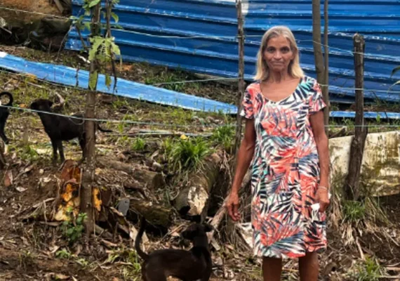 Chuvas destroem abrigo e deixam mais de 130 animais em situação de risco em Maceió