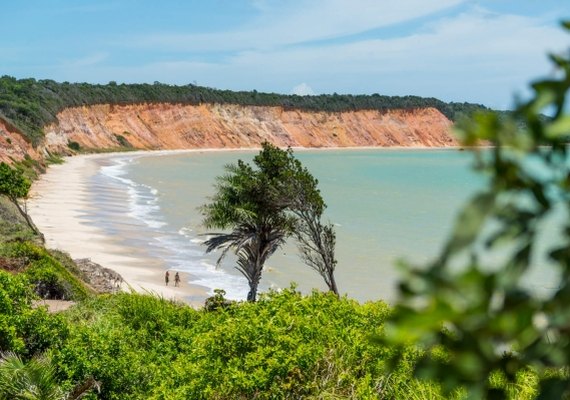 Maioria das praias alagoanas estão apropriadas para banho, aponta teste de balneabilidade