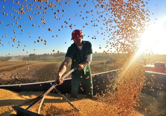 Alagoas se destaca e deve ter o maior crescimento do PIB no agronegócio no Nordeste