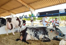 37º Expo Bacia Leiteira supera expectativas do setor