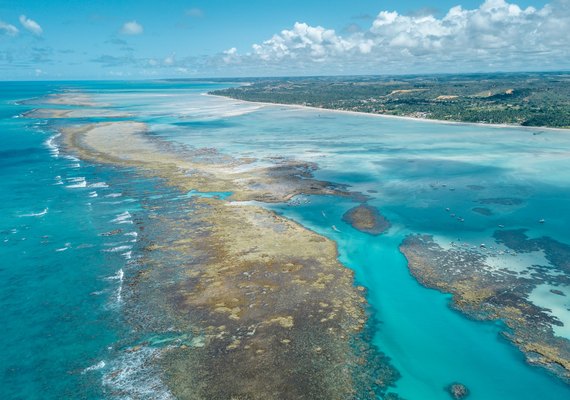 Projeto Rota dos Corais conecta Pernambuco e Alagoas em iniciativa inédita de turismo sustentável