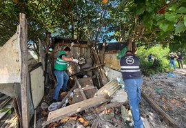Fiscalização apreende drogas e remove barracos irregulares no Vergel do Lago