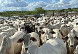 Setor rural alagoano movimenta cerca de R$ 1 bilhão com BNB em 2025