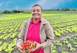 No Dia Internacional da Agricultura Familiar, governador divulga maior compra pública no setor, para merenda escolar