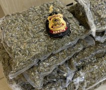 PF abre inquérito após apreensão de 15 kg de maconha em aeroporto de Alagoas