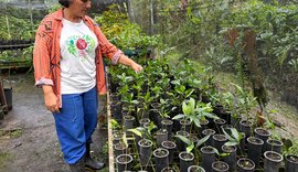 Agricultura de baixo carbono se transforma em realidade no campo alagoano