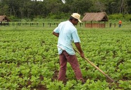 Governo lança Programa Terra da Gente para beneficiar 295 mil famílias até 2026