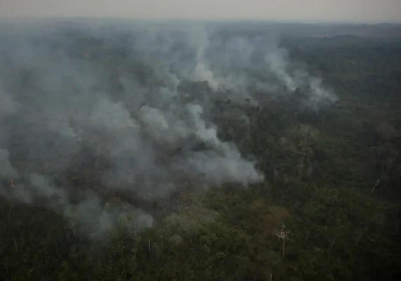 Risco de incêndio fecha 80 Unidades de Conservação em São Paulo