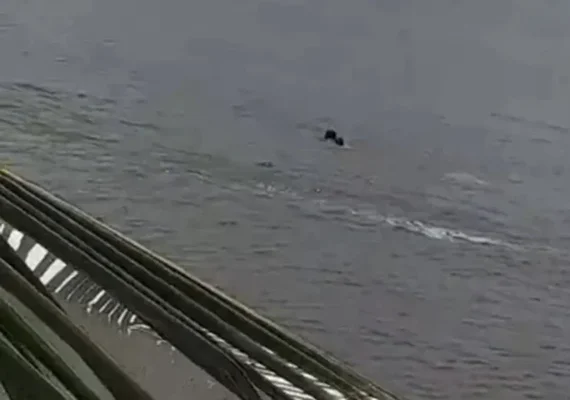 Homem de 25 anos é resgatado após se afogar na Prainha, em Marechal Deodoro