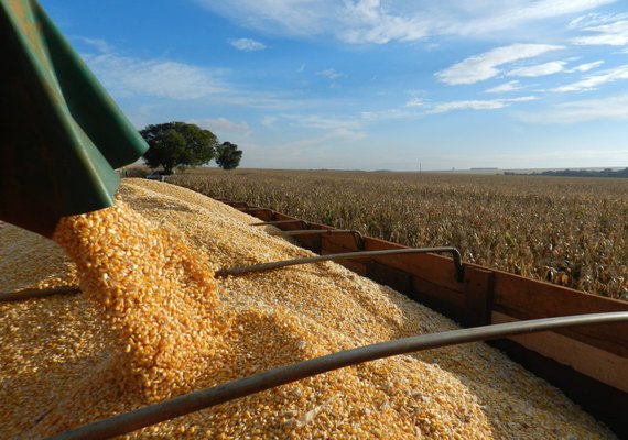 Brasil será maior exportador de grãos do mundo em cinco anos