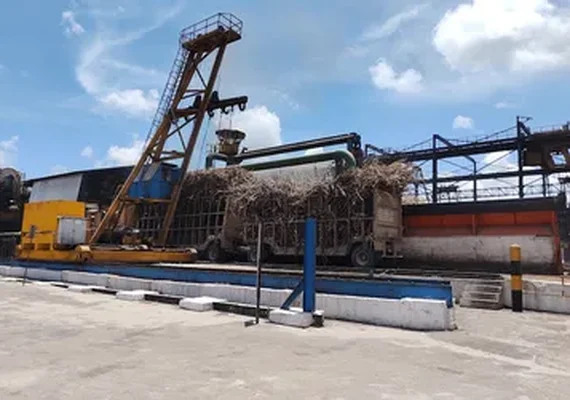 Usina Santo Antônio inicia safra 25/26 com previsão de crescimento