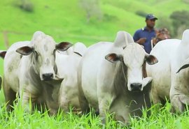 Vendas do Mega Touros SMP registra 18% de crescimento