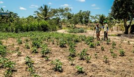 Produtos da agricultura familiar de Penedo vencem chamada pública do Ifal