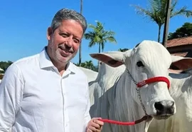 Arthur Lira fatura R$ 4 milhões em leilão de gado Nelore em Alagoas