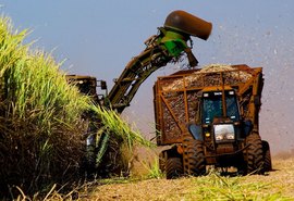 Quantidade de cana processada chega a 9,4 mi na safra 18/19