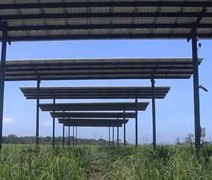 Pesquisa inédita testa viabilidade da geração de energia solar em usina alagoana