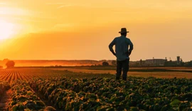 Cooperativas agro ampliam investimentos em 2026