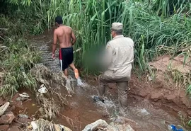 Bebê de 1 ano é encontrado morto em córrego de Goiás e pai é preso