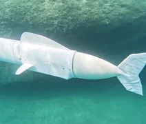 Conheça o peixe-robô que coleta DNA no fundo do oceano