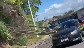 Árvore cai sobre carro e deixa trânsito lento na Leste/Oeste, em Maceió