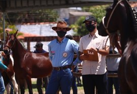 Expoagro/AL faz pista ´pesada´ nos julgamentos