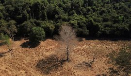 Brasil registra alta na emissão de gases de efeito estufa