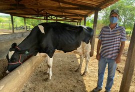 Super Torneio Leiteiro destaca força da agricultura familiar