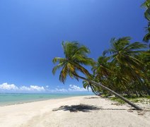 Praia do Patacho, em Alagoas, está entre as pré-selecionadas para receber selo internacional de preservação ambiental