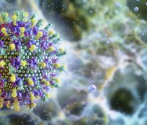 Nipah: saiba mais sobre o vírus que preocupa a SIA