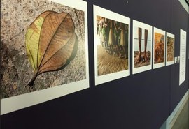 Diteal e FotoSururu 2020 apresentam exposição Narrativas Poéticas no Youtube